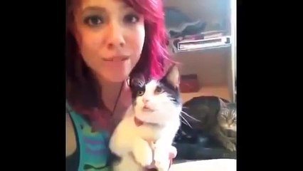 Funniest Pet and Animal VINES COMPILATION 2015