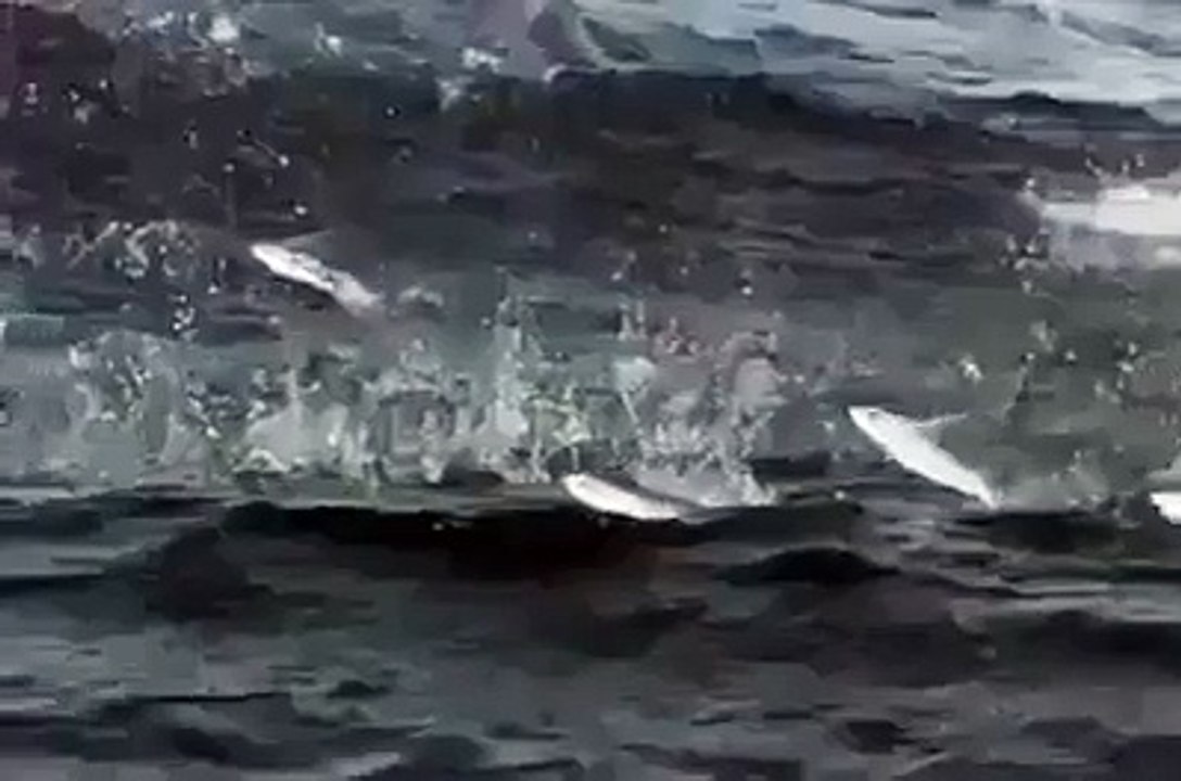 Allah Ki Qudrat - SubhanAllah