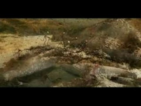 Fields - Song For The Fields