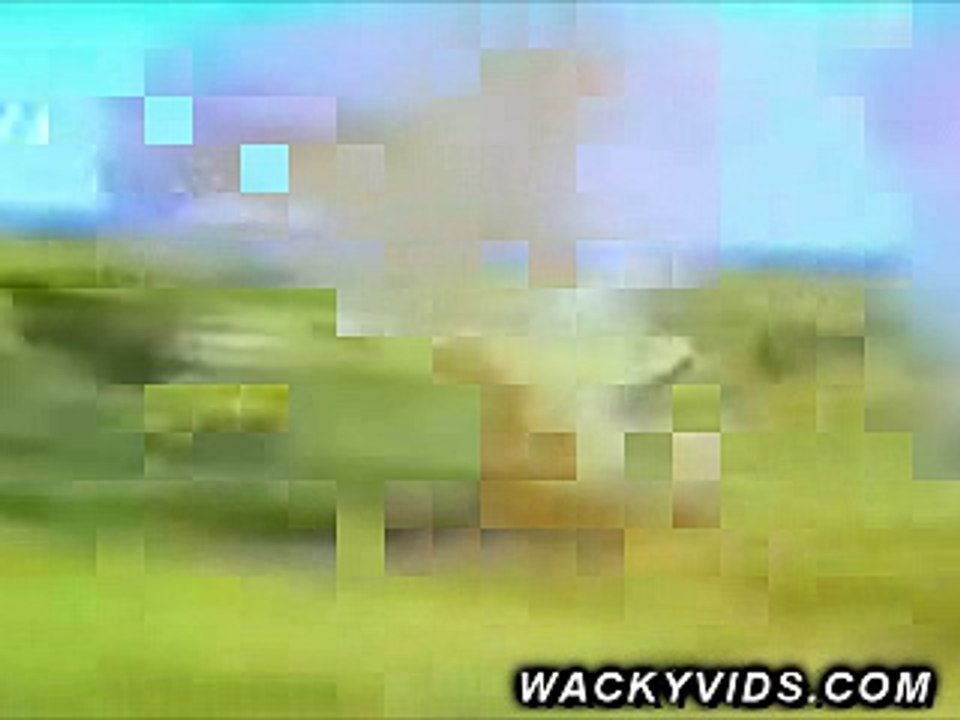 animals mine feild fixed