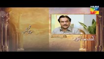 Kisay Chahoon Episode 15 Promo HUM TV Drama 17 Mar 2016