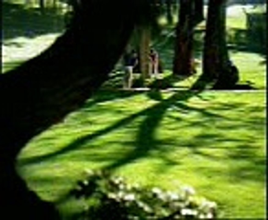 Comedy - Golf Accident