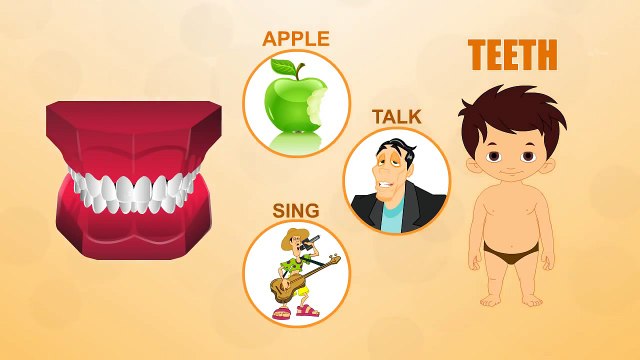 Teeth - Human Body Parts - Pre School Know Your Body - Animated Videos For Kids