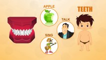 Teeth - Human Body Parts - Pre School Know Your Body - Animated Videos For Kids