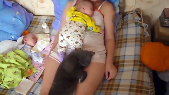 Спят усталые девчонки