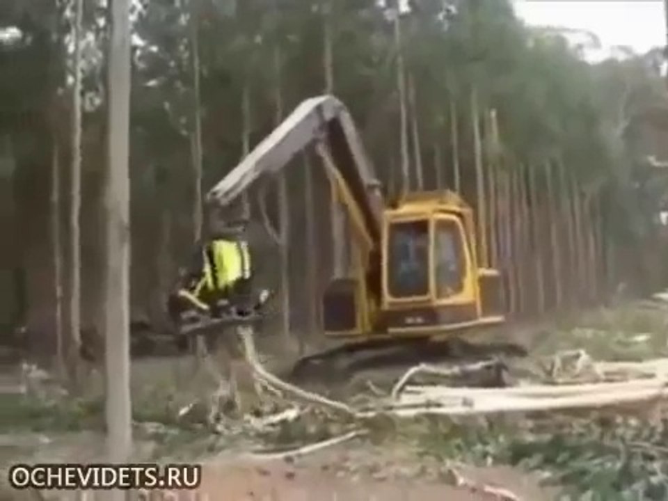 Супер заготовка леса!