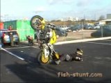 J ai pas fait expres . honda 929 cbr  fish stunt