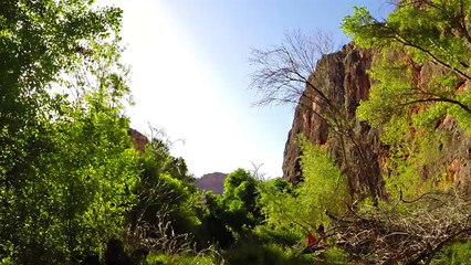 Four Season Guides Southwest Adventures and Tours