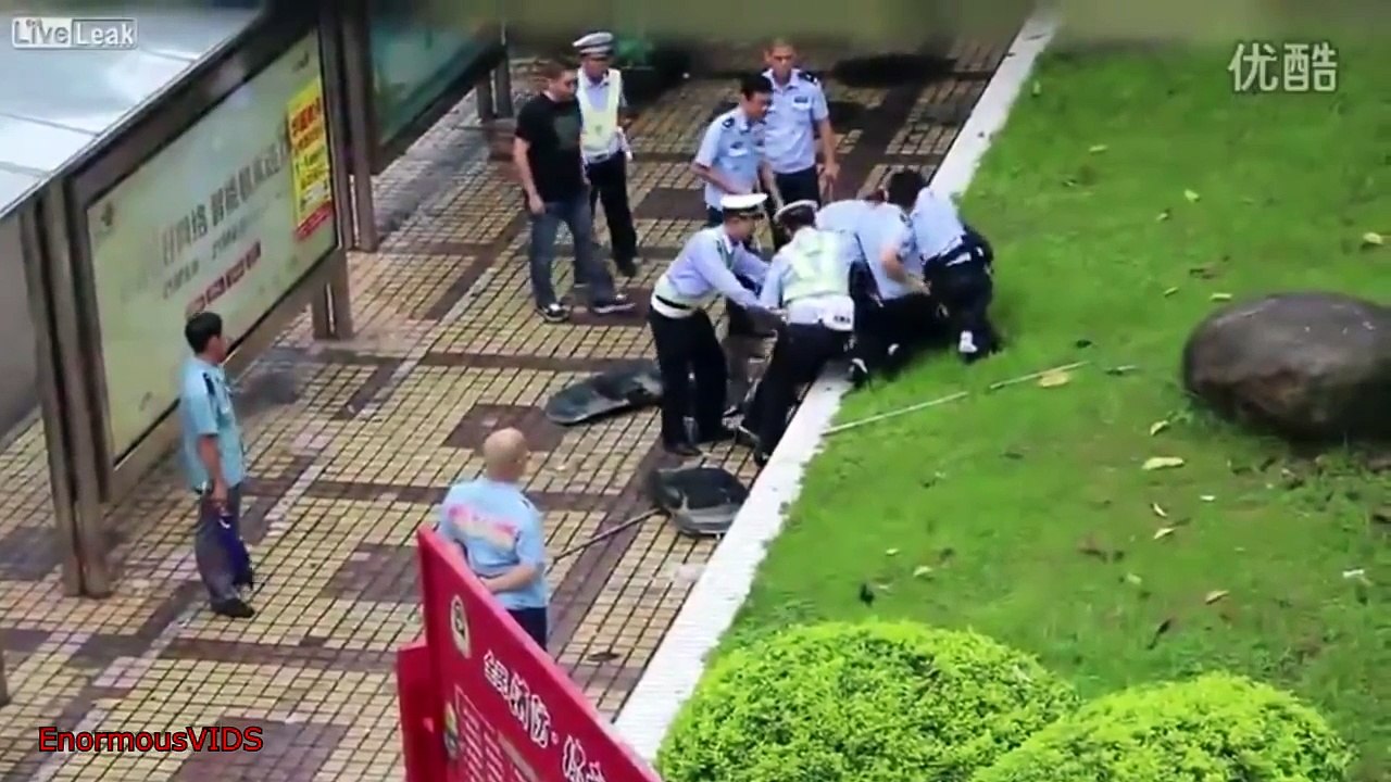 Instant karma - Instant justice - Compilation 2016 #5