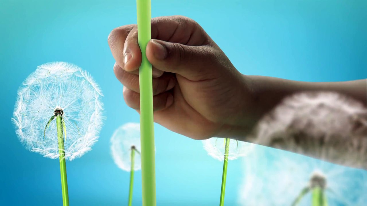 La Garde du Roi Lion   Un Nouveau Cri - Les hyènes sont de retour !