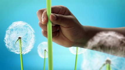 La Garde du Roi Lion   Un Nouveau Cri - Les hyènes sont de retour !