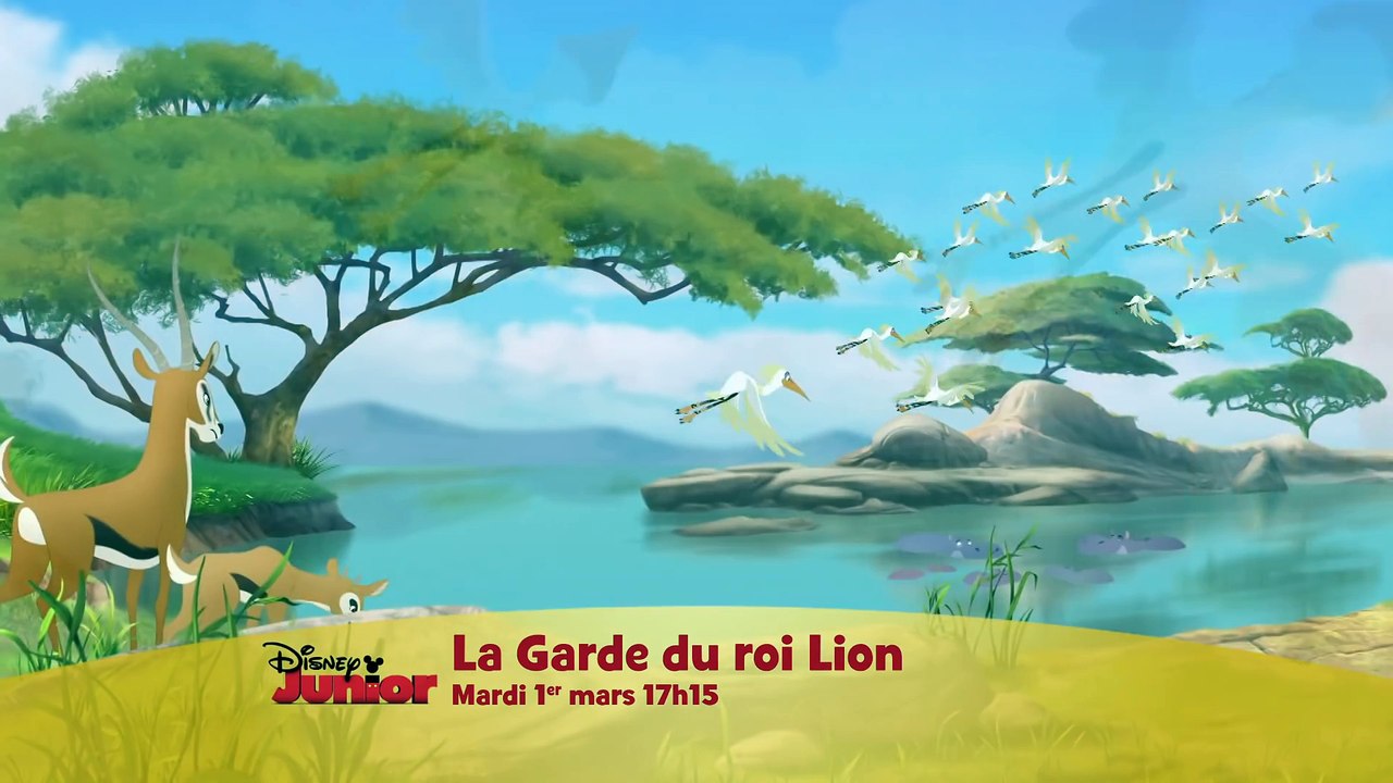 La Garde du Roi Lion - Mardi 1er mars à 17h15 sur Disney Junior !