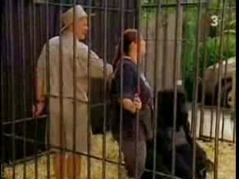 Gars au Gorille,gag marrant