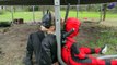 Little Heroes Joker vs Joker vs Batman vs Deadpool Superheros in Real Life Battle | SuperHero Kids