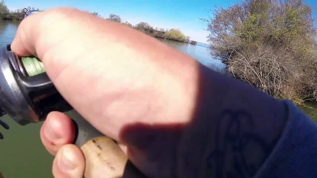 ER1 Swimbaits Striper Fishing the California Delta 2.29.16