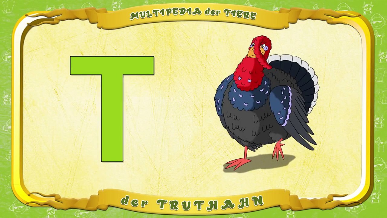 Multipedia der Tiere. Buchstabe T der Truthahn