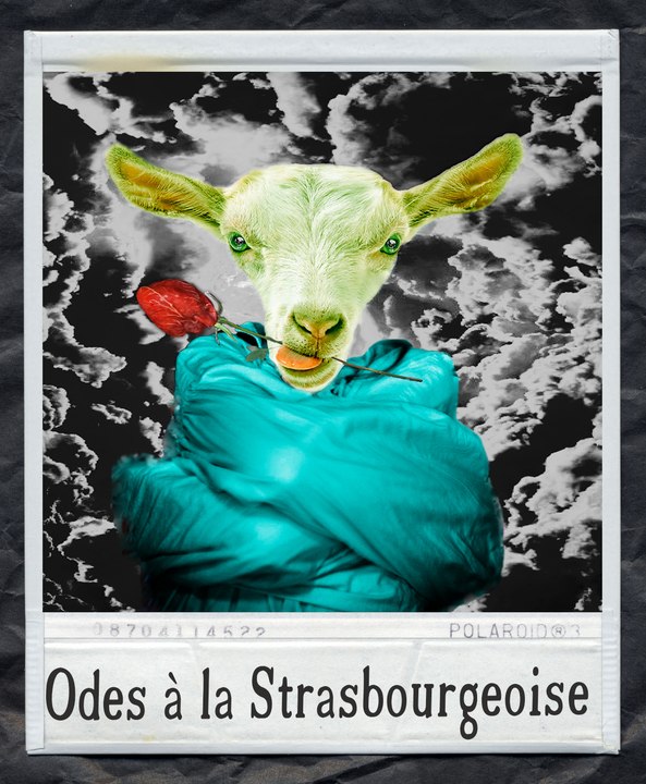 Bande Annonce  : Odes à la Strasbourgeoise