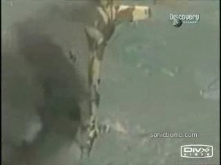 Attack helicopter Mi-24 Hind  AA missile