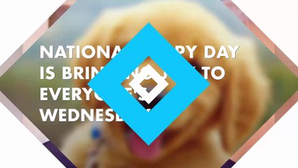 National Puppy Day is bringing joy to everyone's Wednesday