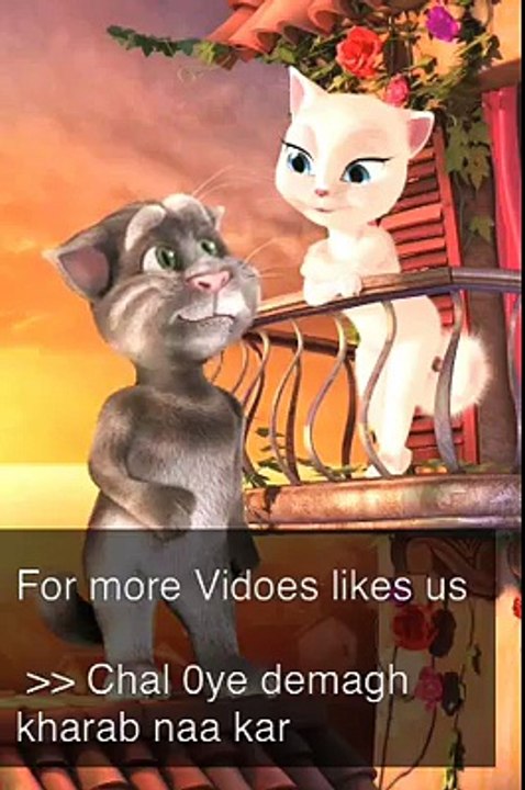 whatsapp video
