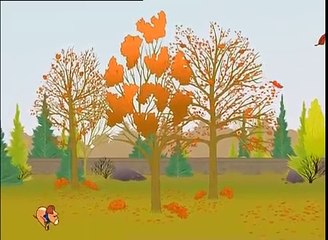 How do trees adapt to their environment?