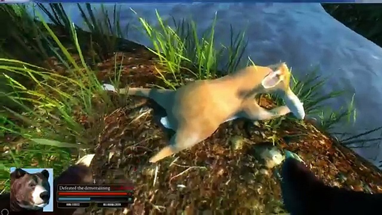 Bear Simulator - How to become a Bear Rawrr