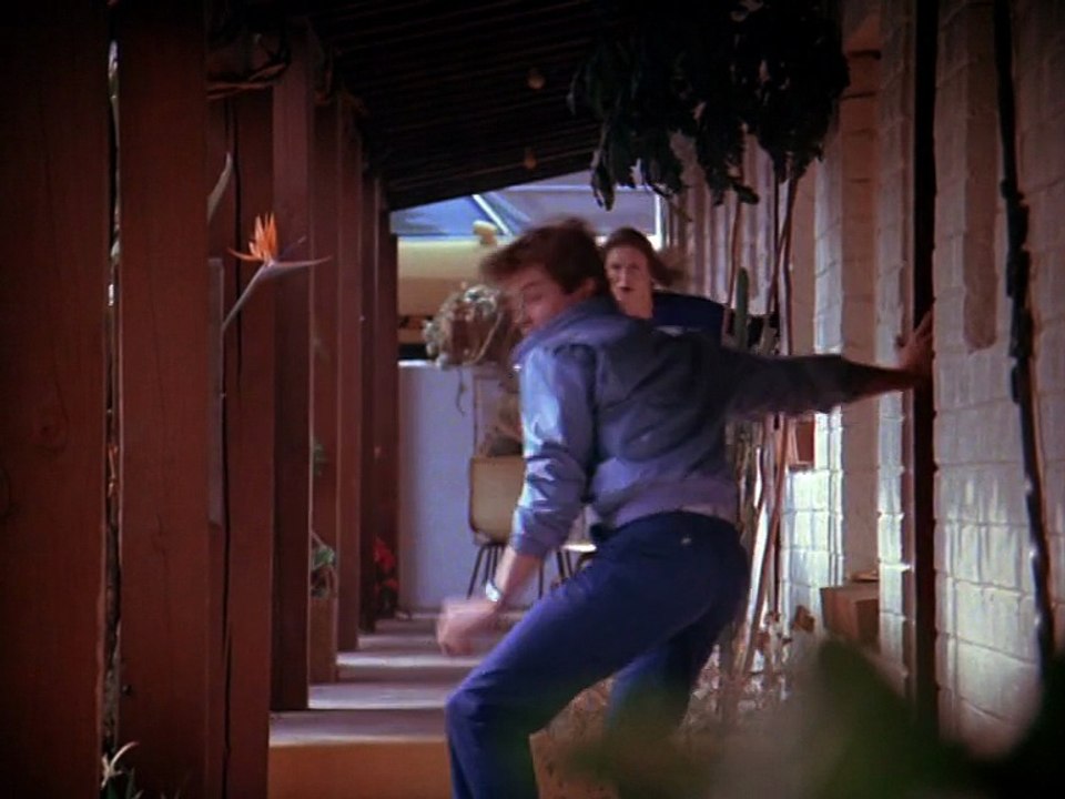 Remington Steele - Staffel 1 Episode 2