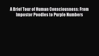 [PDF] A Brief Tour of Human Consciousness: From Impostor Poodles to Purple Numbers [Read] Online