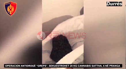 Fushë-Krujë, u kapën në shtëpi duke paketuar 20 kg kanabis, pranga 6 personave- Ora News