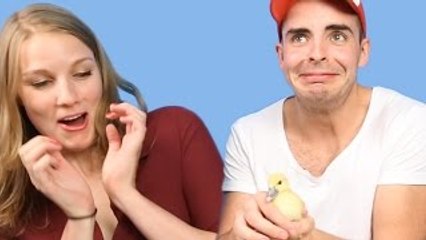 People With A Fear Of Birds Get Surprised With Ducklings