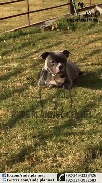 VID-20160226-WA0000_(new)