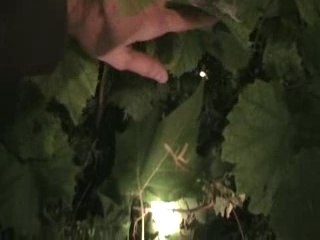 D'étranges symboles à paris : un trésor ?