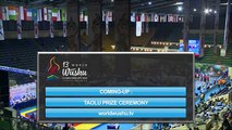 Чемпионат Мира по ушу таолу 2015 г  aрена 2  день 4 47