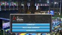 Чемпионат Мира по ушу таолу 2015 г  aрена 2  день 4 50