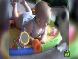 Des bébés jouent avec chiens et chats