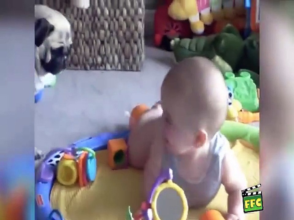 Quand des bébés jouent avec chiens et chats