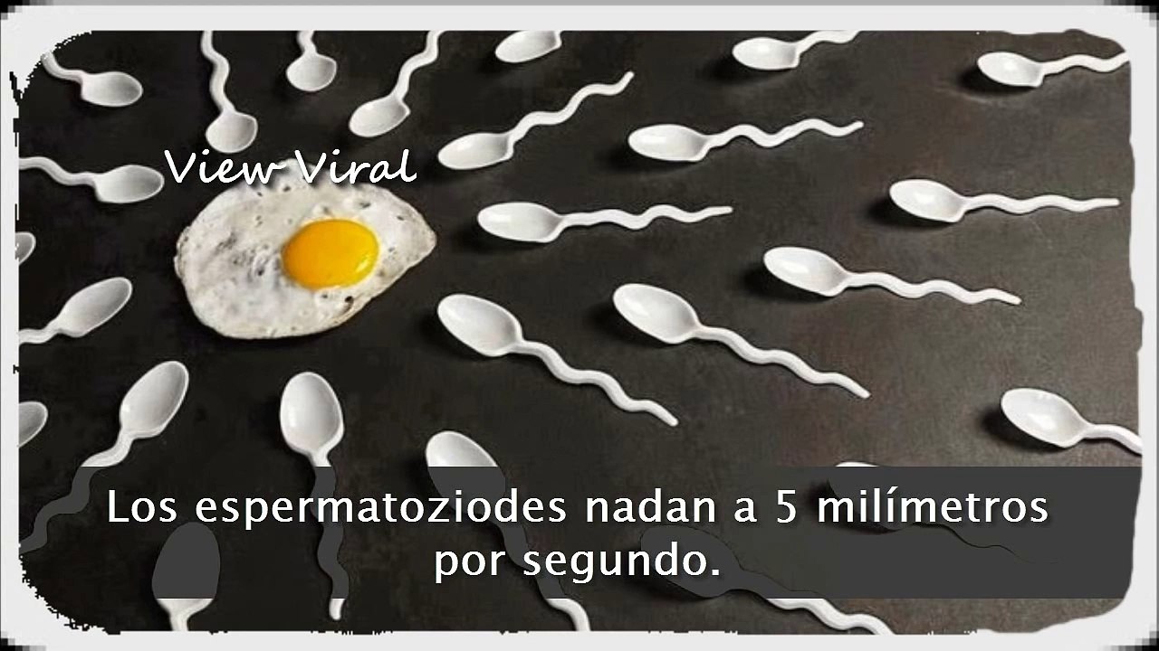 10 Cosas que no Sabías del SE-MEN