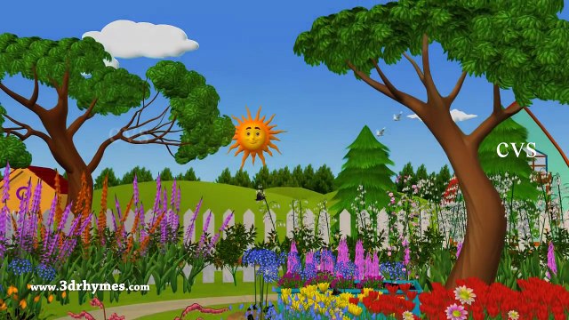 Learn Colors with Surprise Eggs - Kids Songs | 3D Animation Eggs Nursery Rhymes for children