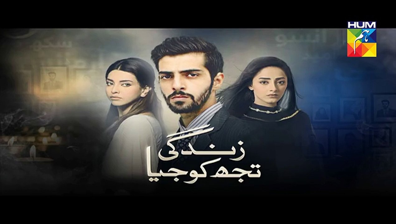 Zindagi Tujh Ko Jiya Episode 15 Promo HUM TV Drama 15 Mar 2016