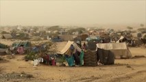 مئات النازحين اليمنيين يعانون بمخيمات النزوح