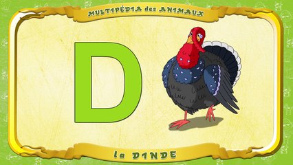 Multipédia des animaux. La lettre D la Dinde