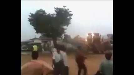 pohon di buldozer tidak tumbang