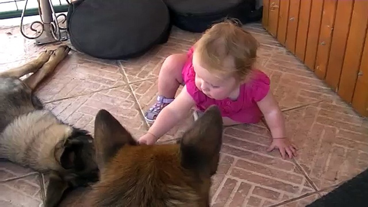 bébé joue avec un berger allemand