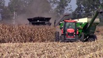 Gleaner S78 Combine Harvesting Corn