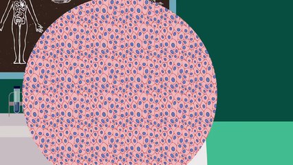 Nutrition for a Healthy Life | Mars, Incorporated