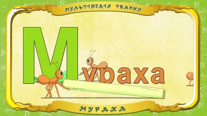 Мультіпедія тварин. Літера М Мураха