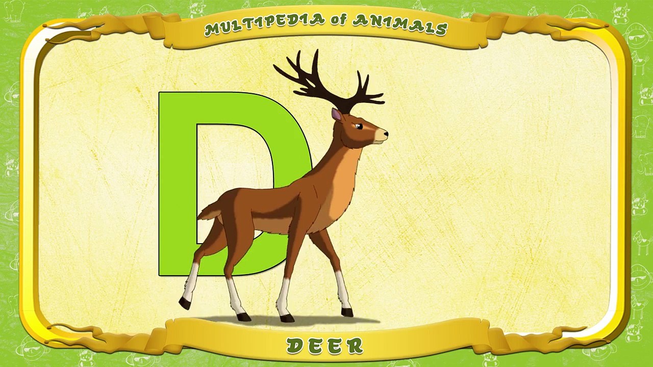 Multipedia of Animals. Letter D Deer - Dailymotion Video