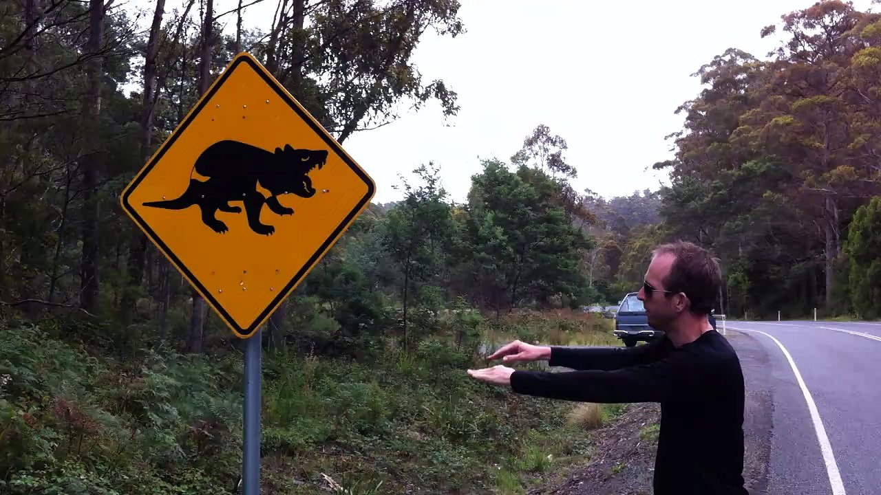 Tasmania Devil Attacks!!