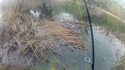 Crappie Fishing Made Easy (Clear Lake)