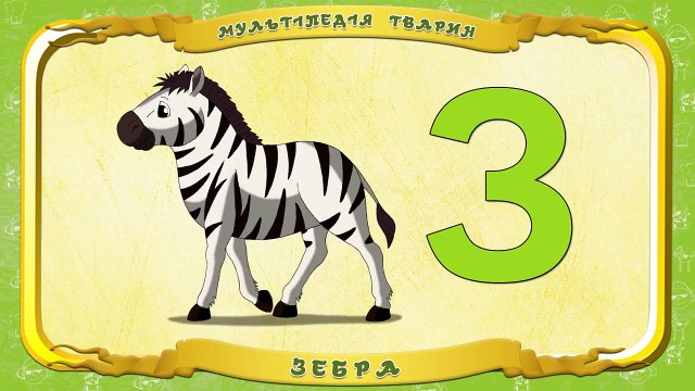 Мультіпедія тварин. Літера З Зебра